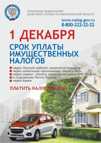 Не забудьте оплатить налоги!