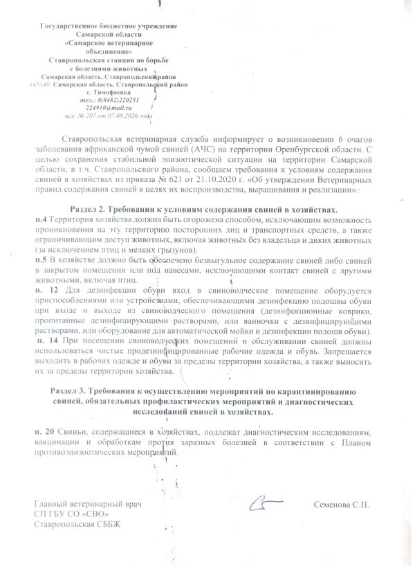 Африканская чума свиней
