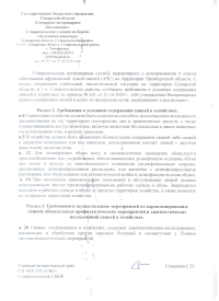 Африканская чума свиней